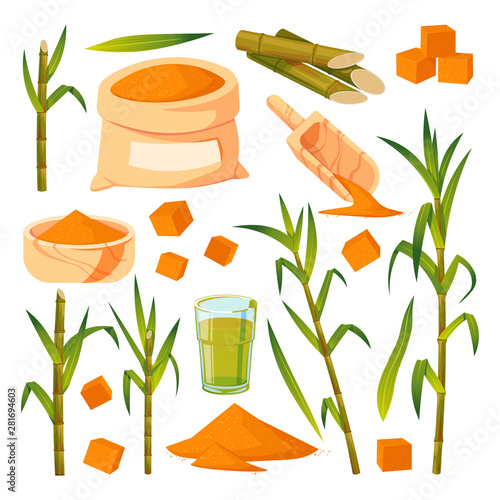 Sugar cane plant and leaves vector illustration. Brown sugar in sack, bowl, spoon. Hand drawn isolated design elements.