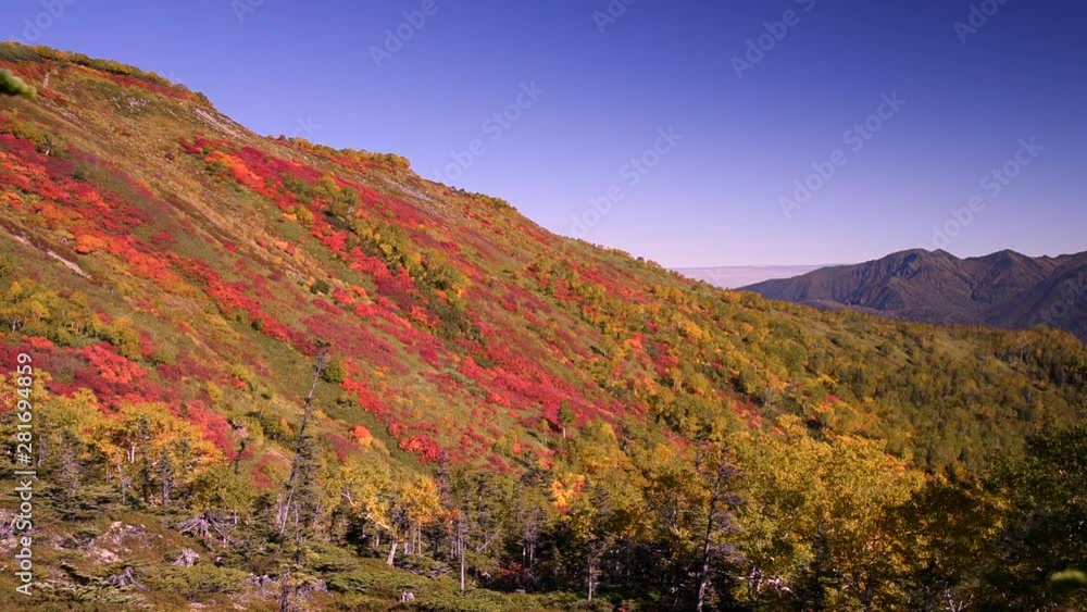 Mountain in autumn, Daisetsuzan National Park, Japan Mountain in autumn, Daisetsuzan National Park, Japan