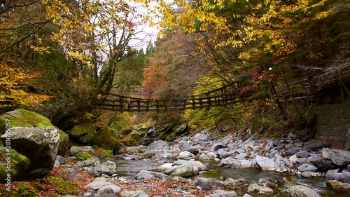 Kazura bridge in autumn, Miyoshi, Tokushima, Japan photo