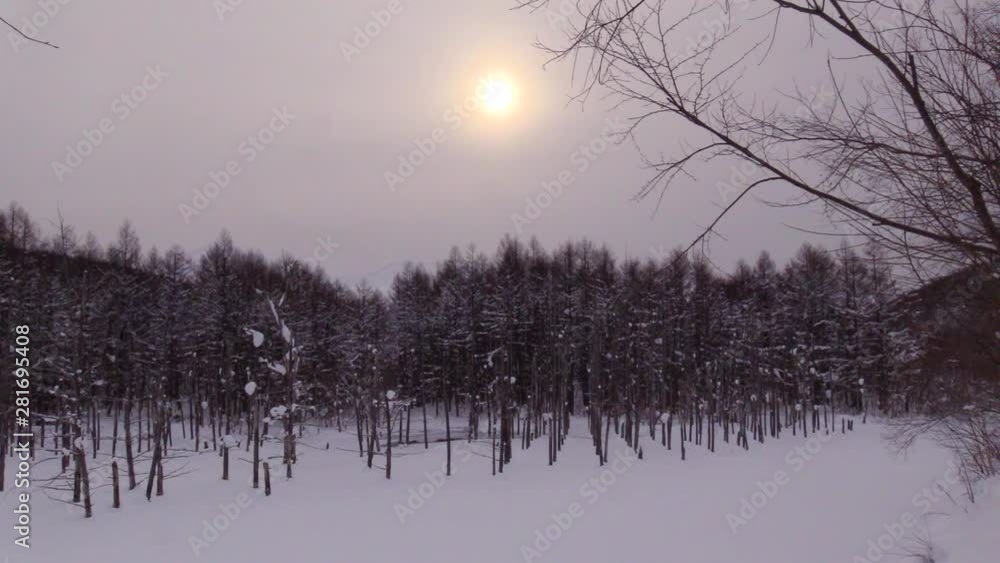 Blue Pond in winter at sunrise, Japan Blue Pond in winter at sunrise, Japan