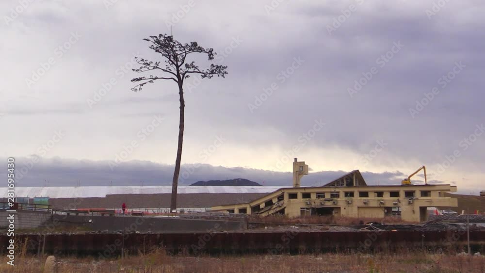 Tree and fallen building, Rikuzentakata City, Miyagi Prefecture, Japan Tree and fallen building, Rikuzentakata City, Miyagi Prefecture, Japan