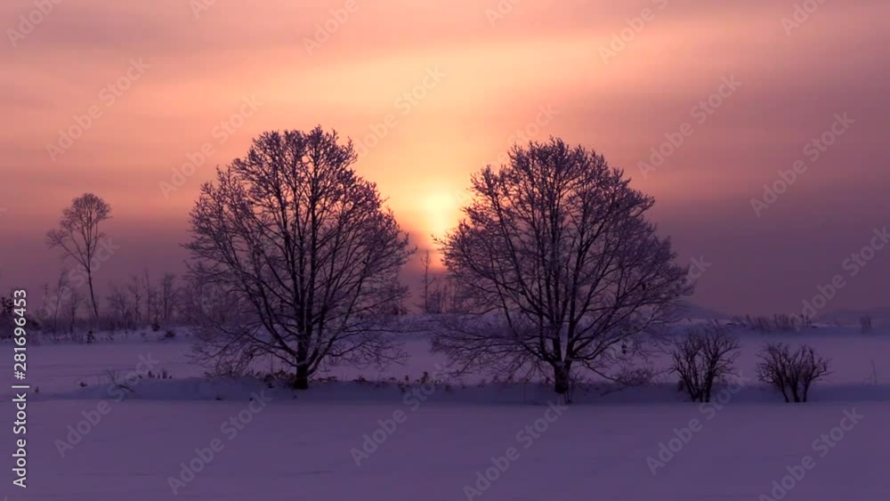 Snow field and trees in rime at sunrise Snow field and trees in rime at sunrise