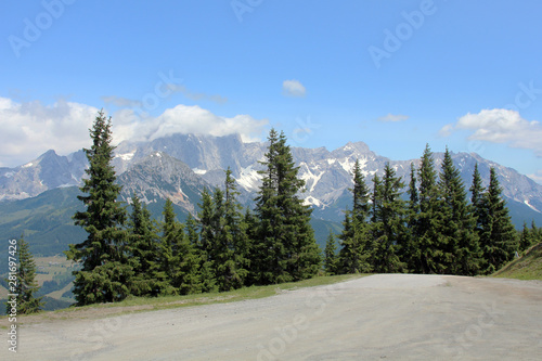 road at the top of the mountains overlooking the forest and mountain peaks