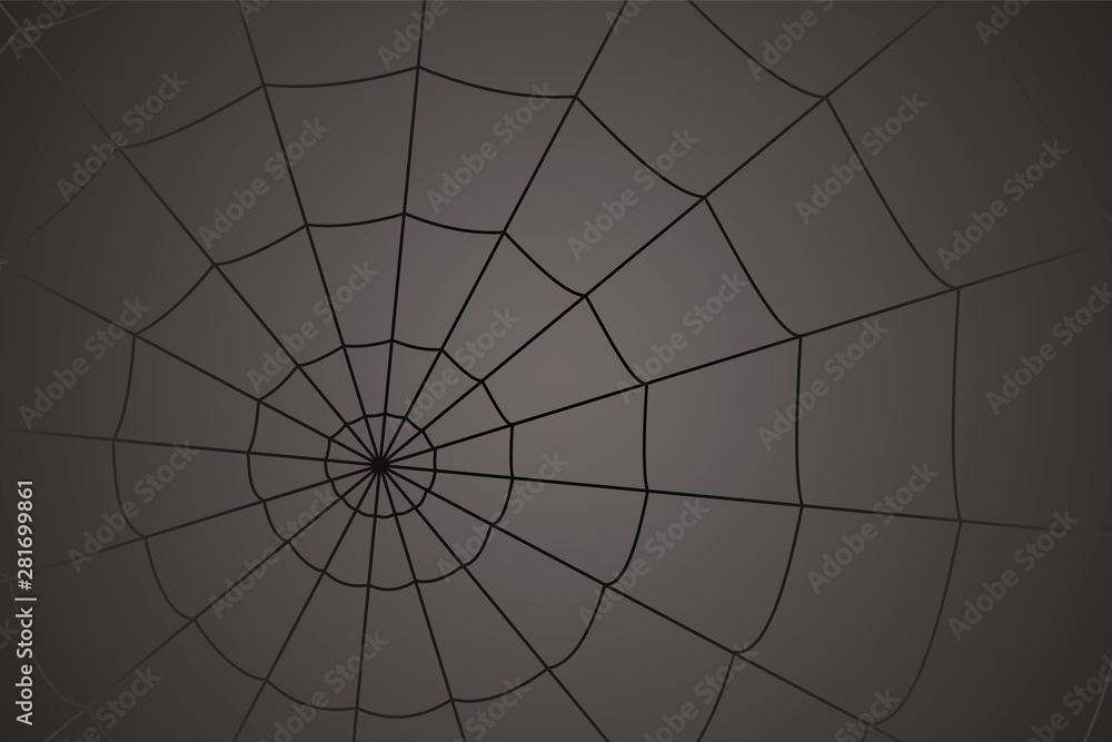 Obraz premium concentric white web on a gray background