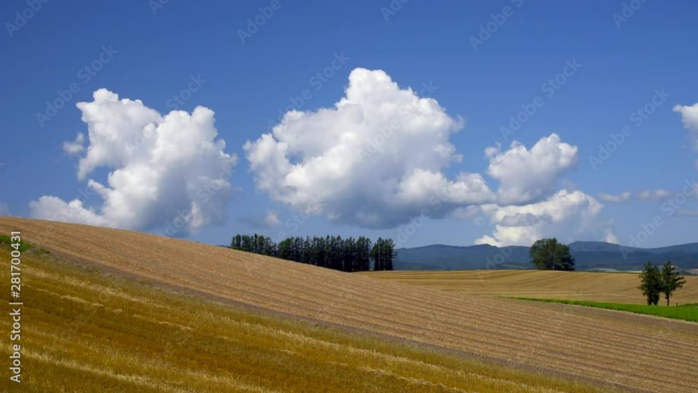 Wide shot of Mild Seven Hills in summer, Biei, Hokkaido