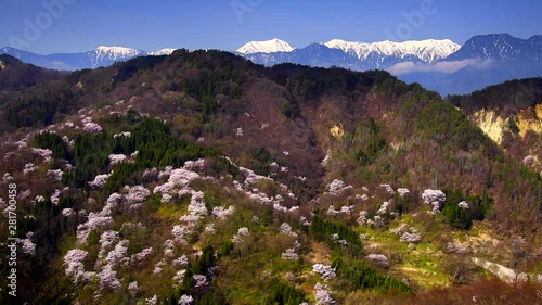 Sakurasen Gorge in spring, Ikeda, Kita Azumi, Nagano photo