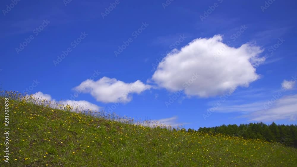 Low angle shot of flower overgrown hills, Ongara, Monbetsu, Hokkaido Low angle shot of flower overgrown hills, Ongara, Monbetsu, Hokkaido