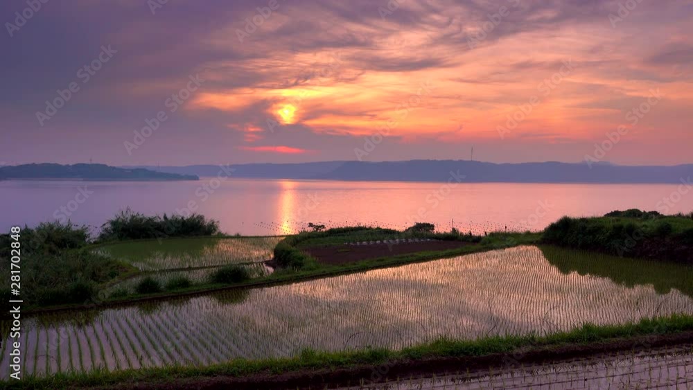 Sun Rise Japanese Rice Terraced rice fields at sunrise, Japan Stock Video | Adobe Stock