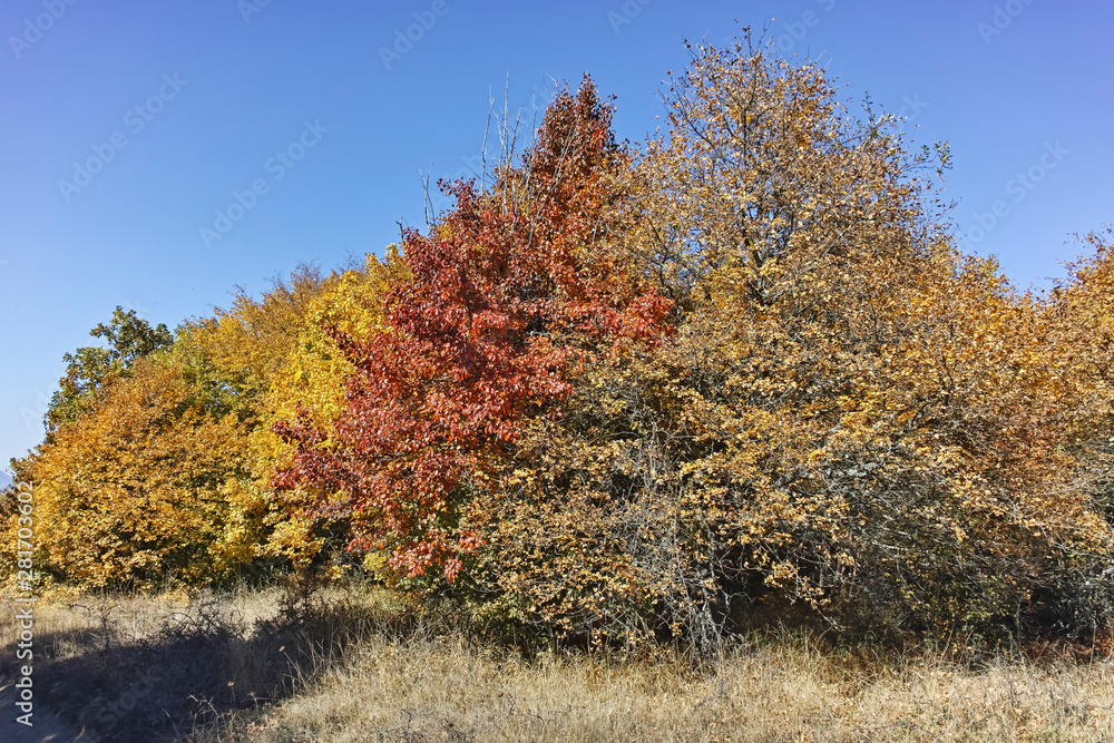 Landscape of Cherna Gora mountain, Bulgaria Landscape of Cherna Gora mountain, Bulgaria