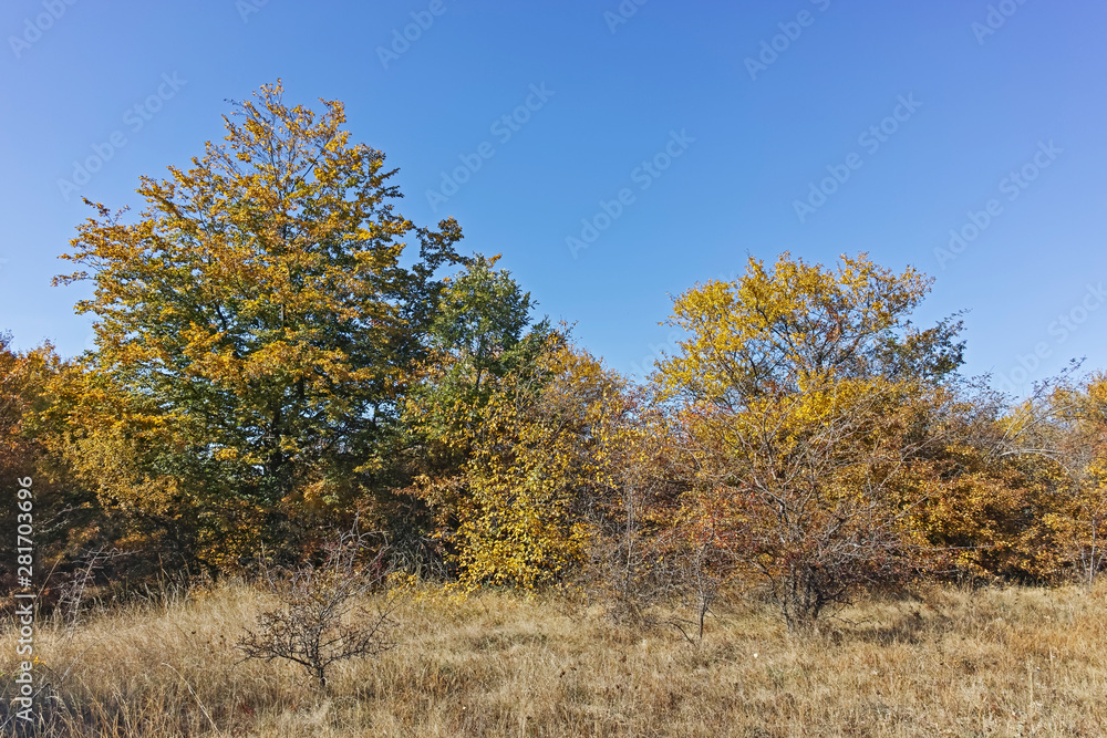 Landscape of Cherna Gora mountain, Bulgaria Landscape of Cherna Gora mountain, Bulgaria