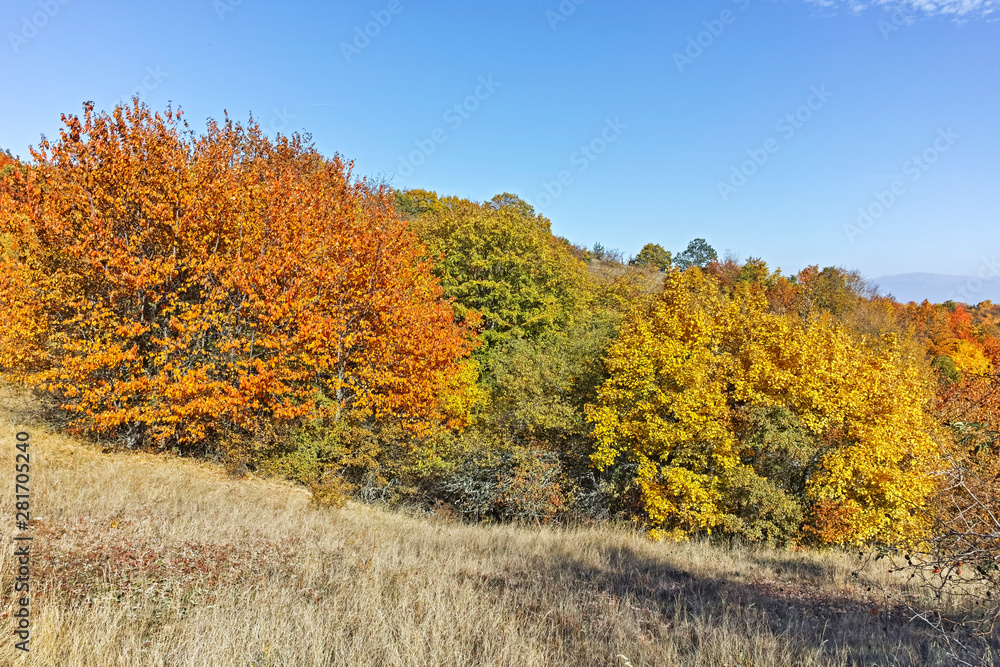Landscape of Cherna Gora mountain, Bulgaria