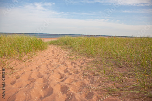A sandy path through the grass to the beach