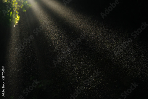 Close up of dust in sun light rays shining through cave and leaves