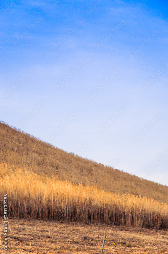 Fototapeta premium Mountain landscape scenery in autumn