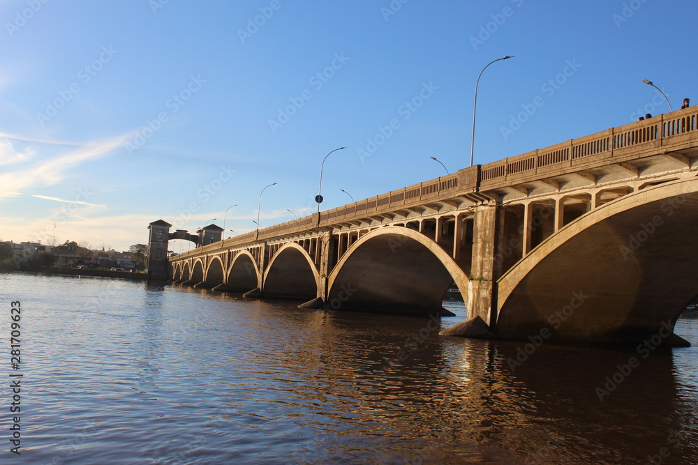 Fototapeta premium bridge over the river