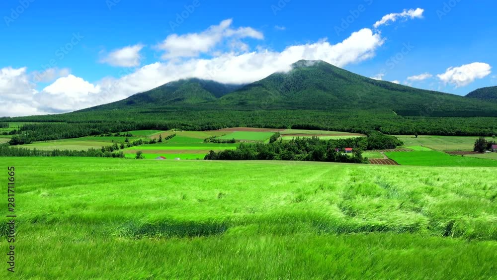 Green field with mountain in background Green field with mountain in background
