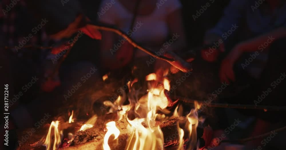 A group of happy young friends relaxing and enjoying summer evening around campfire on the river bank A group of happy young friends relaxing and enjoying summer evening around campfire on the river bank