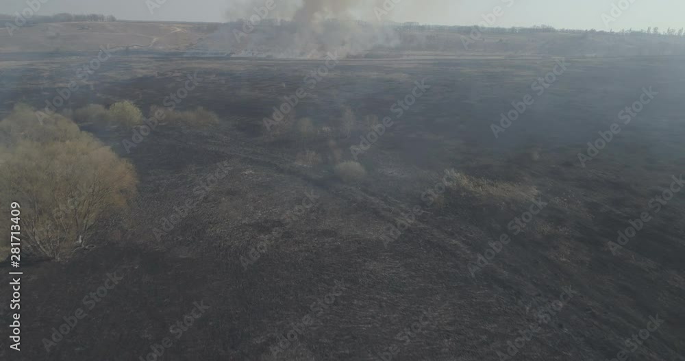Aerial top view of epic burning dry grass and trees on the field on a spring day close to the village. Ready for color grading. Sunny day. Aerial top view of epic burning dry grass and trees on the field on a spring day close to the village. Ready for color grading. Sunny day.