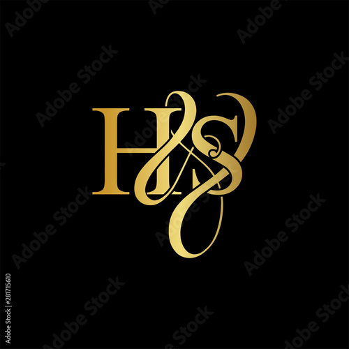 Initial letter H & S HS luxury art vector mark logo, gold color on black background. photo