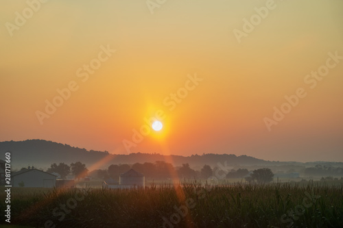 Wallpaper Mural Early morning fog lifting Torontodigital.ca