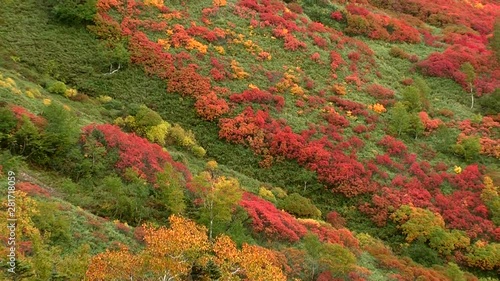 Zoom out view of autumn landscape photo