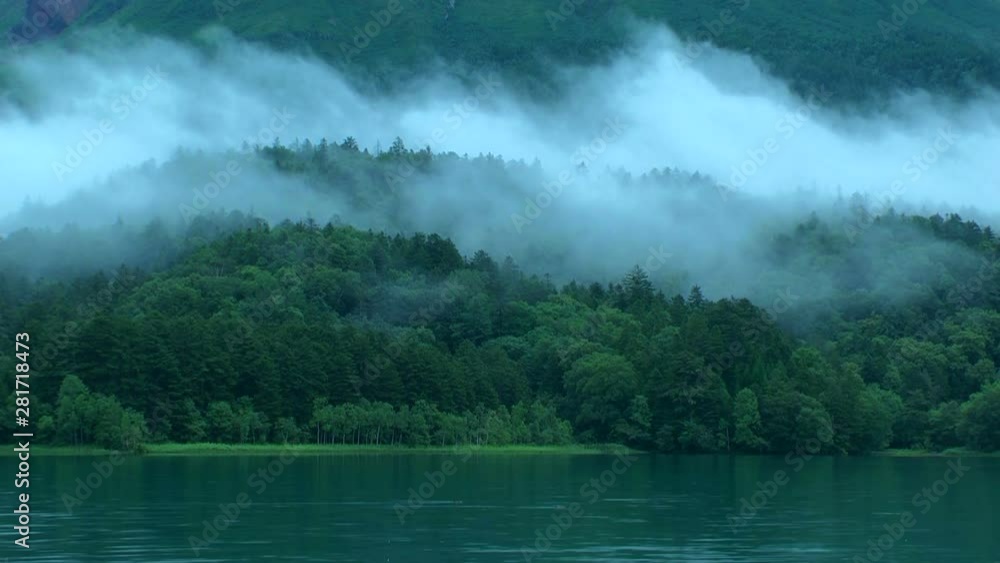 Timelapse of fog shrouding green lakeside forest Timelapse of fog shrouding green lakeside forest