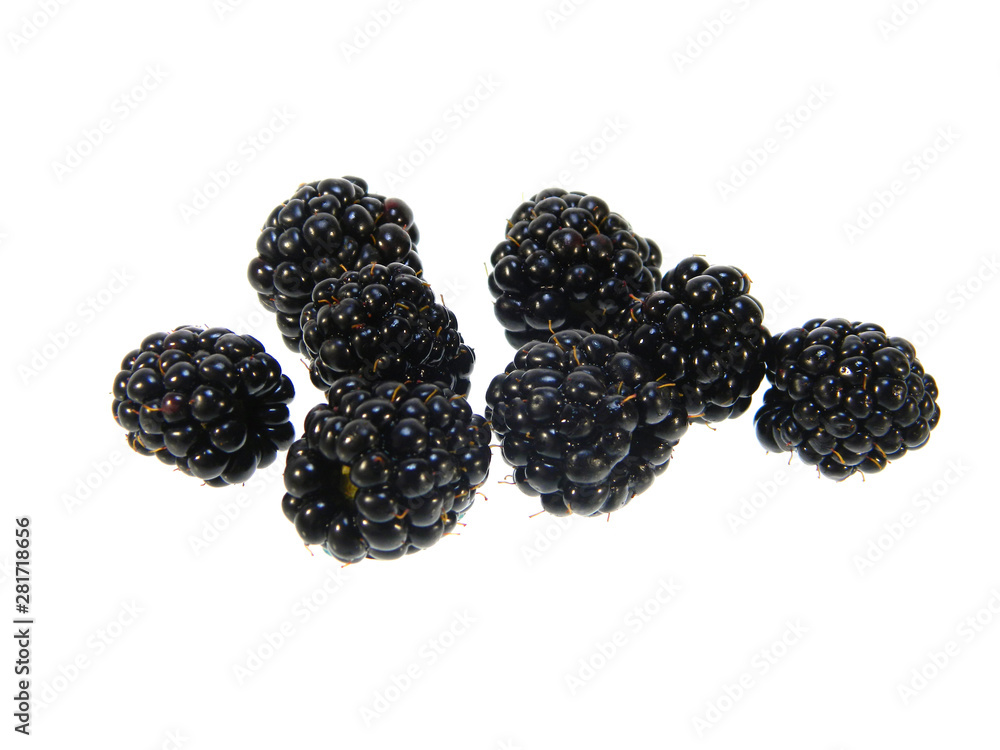 blackberry isolated on white background blackberry isolated on white background