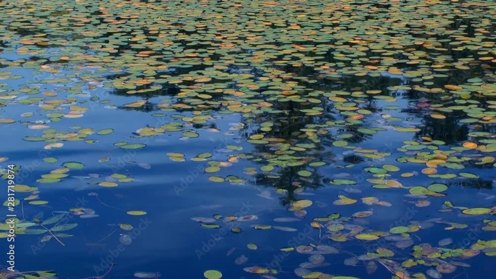 High angle shot of lake surface in autumn, Kushiro, Hokkaido High angle shot of lake surface in autumn, Kushiro, Hokkaido