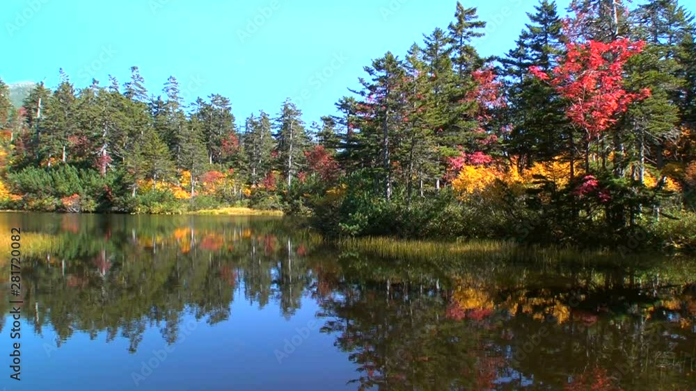 Panning shot of Daisetsu Kogen swamp in autumn, Kamikawa, Hokkaido Panning shot of Daisetsu Kogen swamp in autumn, Kamikawa, Hokkaido