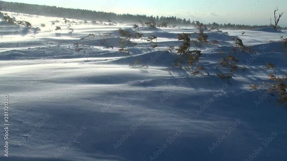 Winter landscape during wind, Bihoro, Hokkaido, Japan Winter landscape during wind, Bihoro, Hokkaido, Japan