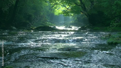 Scenic landscape of river flowing through forest, Japan
