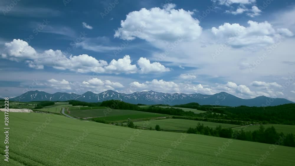 View of wheat field, Biei, Hokkaido, Japan View of wheat field, Biei, Hokkaido, Japan