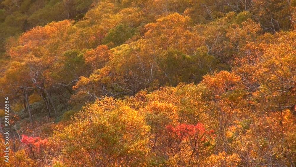 Shiretoko National Park in autumn, Rausu, Hokkaido, Japan Shiretoko National Park in autumn, Rausu, Hokkaido, Japan