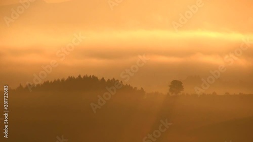 Wallpaper Mural Timelapse of fog shrouding forested hill at orange dawn Torontodigital.ca