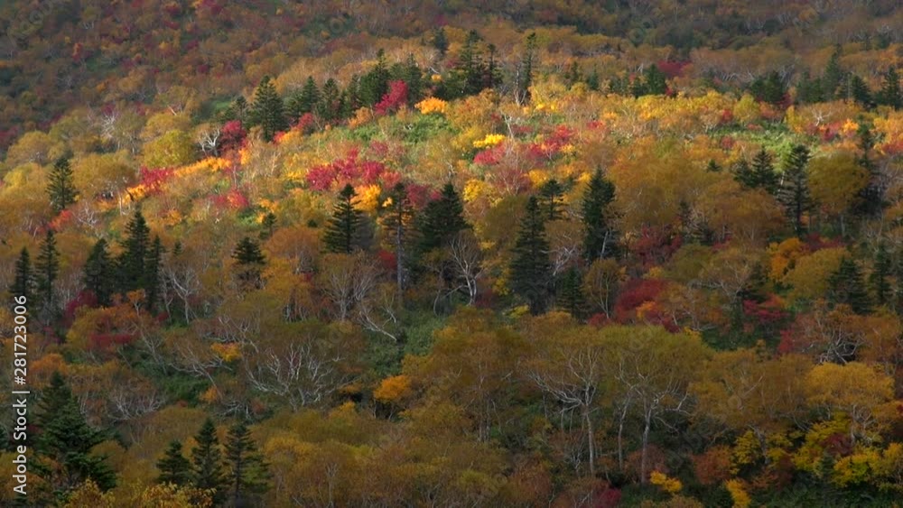 Shiretoko National Park in autumn, Rausu, Hokkaido, Japan Shiretoko National Park in autumn, Rausu, Hokkaido, Japan