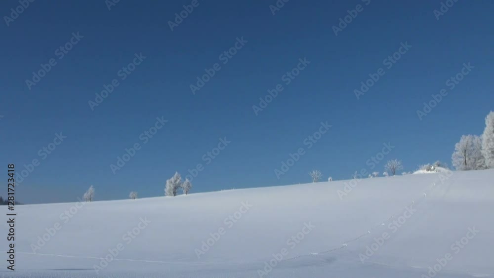 View of trees on hill, Biei, Hokkaido, Japan View of trees on hill, Biei, Hokkaido, Japan