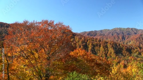 Wallpaper Mural Forest and mountains in autumn, Nishimeya, Aomori Prefecture, Japan Torontodigital.ca