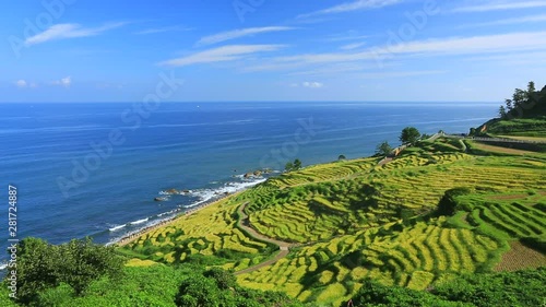 Rice terraces on seashore, Wajima, Ishikawa Prefecture, Japan photo