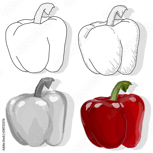 Tasty ripe bell peppers on white background. Vector illustration, separate layers per item