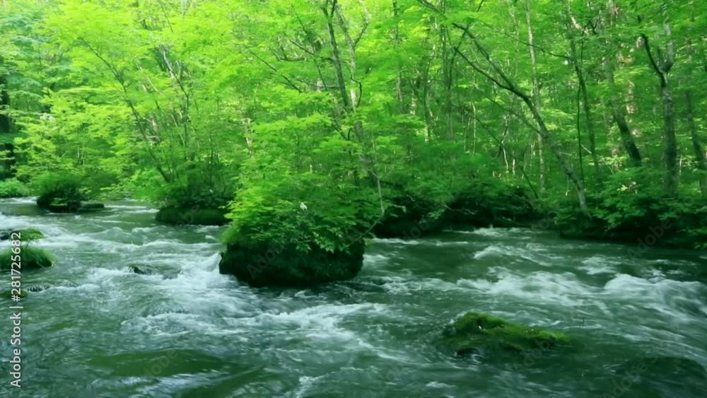 Oirase mountain stream, Towada, Aomori Prefecture, Japan Oirase mountain stream, Towada, Aomori Prefecture, Japan