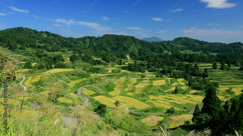 Terraced rice fields, Tokamachi, Niigata Prefecture, Japan Terraced rice fields, Tokamachi, Niigata Prefecture, Japan