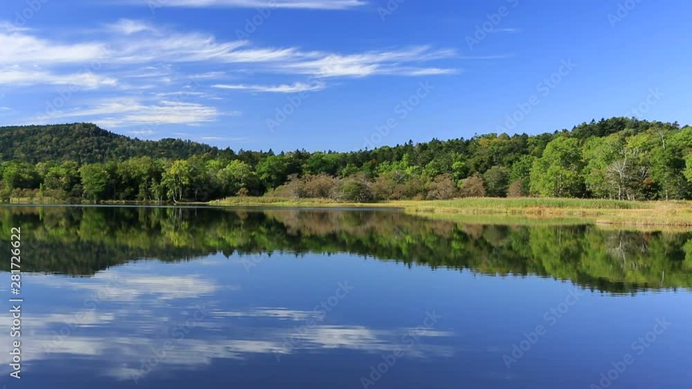 Wide shot of summer forest reflecting in lake, Japan Wide shot of summer forest reflecting in lake, Japan