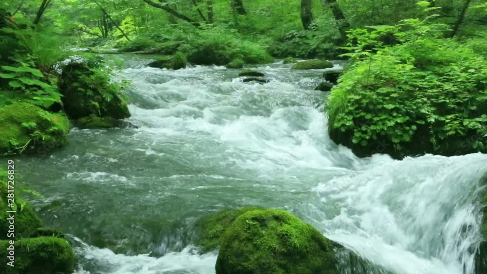 Oirase mountain stream, Towada, Aomori Prefecture, Japan Oirase mountain stream, Towada, Aomori Prefecture, Japan