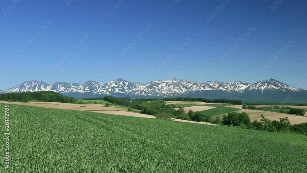 View of wheat field with mountain range in background View of wheat field with mountain range in background