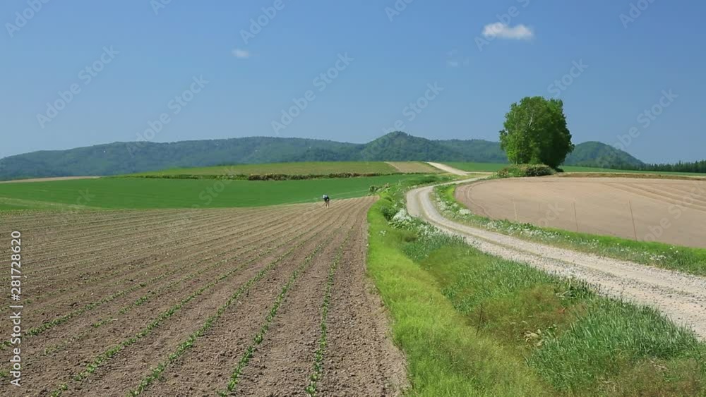Plowed field and farmer, Biei, Hokkaido, Japan Plowed field and farmer, Biei, Hokkaido, Japan