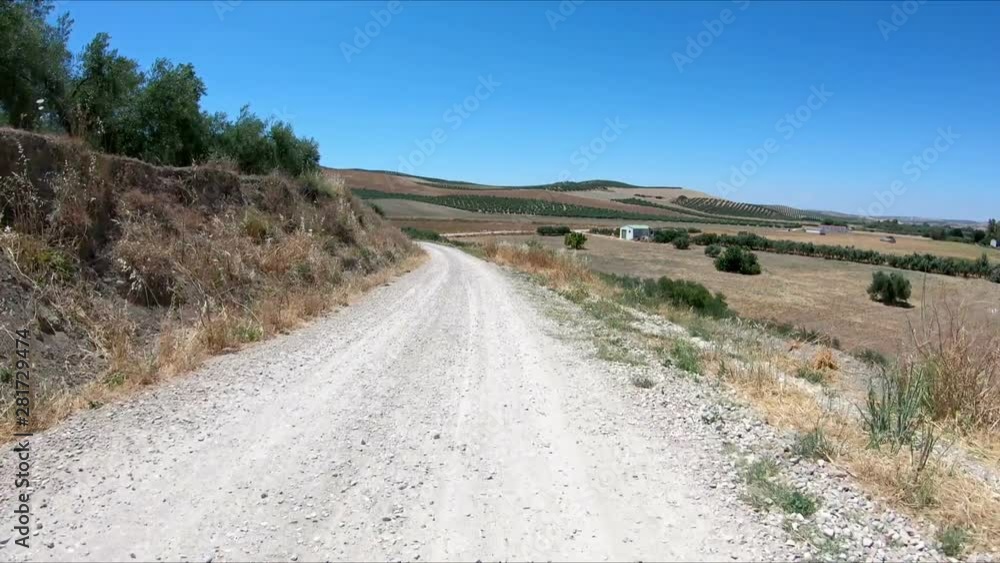 a rural path between Castro del Rio and Espejo, province of Cordoba, Andalusia, Spain a rural path between Castro del Rio and Espejo, province of Cordoba, Andalusia, Spain