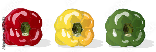 Tasty ripe bell peppers on white background. Vector illustration, separate layers per item