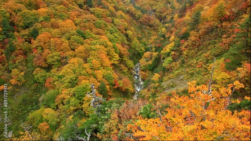 Jokagura Gorge in autumn, Aomori City, Aomori Prefecture, Japan Jokagura Gorge in autumn, Aomori City, Aomori Prefecture, Japan