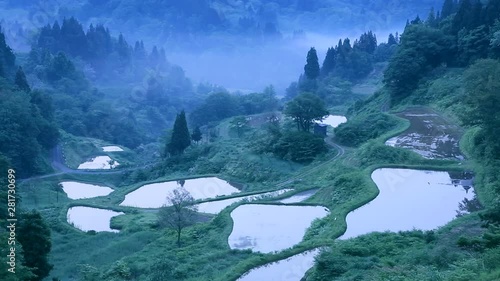 Hoshitoge Rice Terraces, Tokamachi, Niigata Prefecture, Japan photo