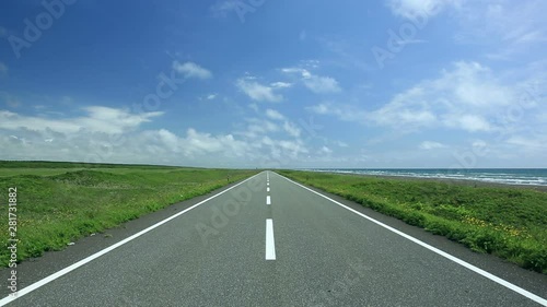 Wallpaper Mural Road through Sarobetsu Primeval Flower Garden, Japan Torontodigital.ca